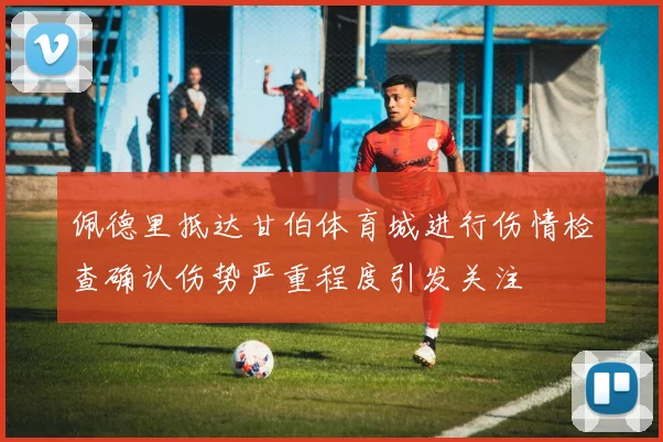 佩德里抵达甘伯体育城进行伤情检查确认伤势严重程度引发关注